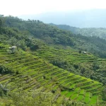 Indonesia in April 2026: Mild Weather and Cultural Discoveries