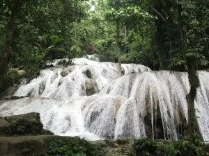 Best Places to Visit in Sulawesi: Discovering Indonesia’s Untamed Island