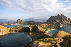 Komodo National Park: The Ultimate Travel Guide (2024)