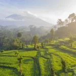 Sumba Island Travel Guide: Why This Indonesian Gem Should Be Your Next Adventure