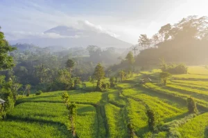 Sumba Island Travel Guide: Why This Indonesian Gem Should Be Your Next Adventure