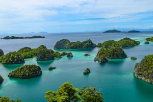 The Ultimate Guide to Karimunjawa Islands: Java’s Best-Kept Marine Park Secret
