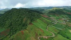 The Ultimate Sulawesi Itinerary: Tana Toraja, Bunaken &amp; Beyond