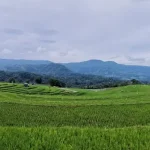 The Ultimate Sulawesi Travel Guide: Everything You Need to Plan Your Trip