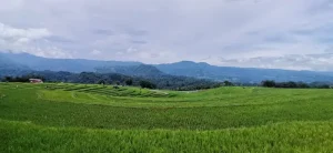 The Ultimate Sulawesi Travel Guide: Everything You Need to Plan Your Trip
