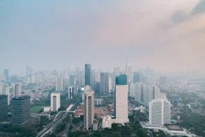 Applying for an Indonesian e-Visa: Essential Tips for a Smooth Process