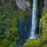 Bukit Lawang Orangutan Trekking: An Unforgettable Jungle Adventure