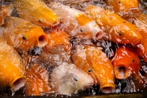 Yogyakarta Food Guide: What to Eat &amp; Where to Find the Best Local Dishes