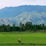 Easy Indonesian Alphabet: A Traveler’s Quick Start Guide
