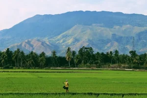 Easy Indonesian Alphabet: A Traveler’s Quick Start Guide