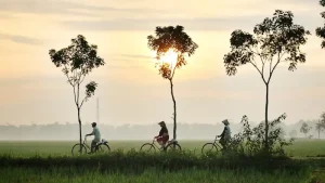 Is Sumba the New Bali? Why Travelers Are Flocking to This Unique Indonesian Island