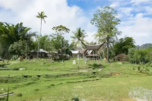 Makassar Travel Guide: What to Do in Sulawesi’s Bustling Gateway City