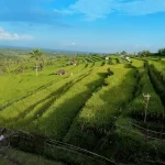 August 2026 in Indonesia: Navigating Peak Season for the Best Experience