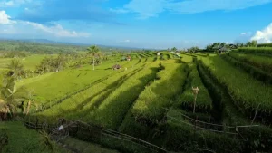 August 2026 in Indonesia: Navigating Peak Season for the Best Experience