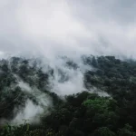 Banyuwangi Travel Guide: Gateway to Ijen and Beyond