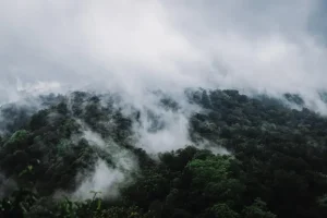 Banyuwangi Travel Guide: Gateway to Ijen and Beyond