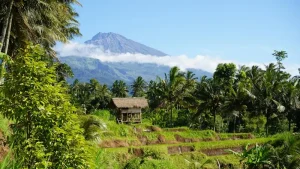 Conquering Mount Rinjani: An Essential Guide to Trekking Lombok’s Volcano