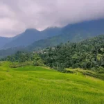 From Volcanic Peaks to Pristine Reefs: East Java’s Ultimate Adventure Itinerary