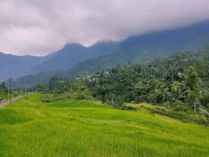 From Volcanic Peaks to Pristine Reefs: East Java’s Ultimate Adventure Itinerary