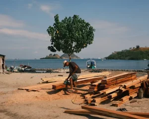 How to Get to Komodo National Park from Bali