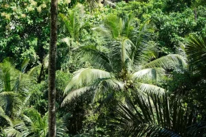 How to Visit Raja Ampat on a Budget: Affordable Paradise Tips