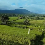 Malang Travel Guide: Beyond Mount Bromo