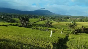 Malang Travel Guide: Beyond Mount Bromo
