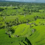 Savoring Indonesia: Must-Try Dishes for Your August 2026 Trip