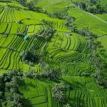 Things to Do in Bandung: A Weekend Getaway Guide