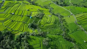 Things to Do in Bandung: A Weekend Getaway Guide