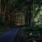 Uncovering Indonesia’s Wild East: A Journey Through Nusa Tenggara (Excluding Flores)