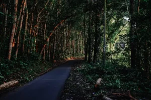 Uncovering Indonesia’s Wild East: A Journey Through Nusa Tenggara (Excluding Flores)