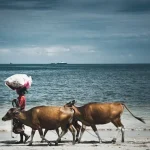 What to Buy in Lombok: Top Souvenirs &amp; Local Treasures