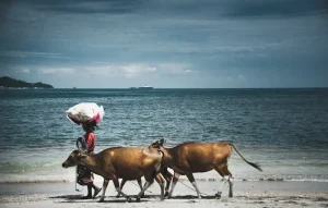 What to Buy in Lombok: Top Souvenirs &amp; Local Treasures
