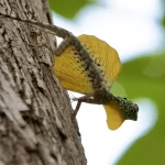 Your Ultimate Guide to Sulawesi Day Tours: Culture, Nature &amp; Adventure