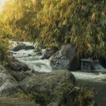 A Complete 3-Day Malang Itinerary for Culture &amp; Nature Lovers