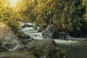 A Complete 3-Day Malang Itinerary for Culture &amp; Nature Lovers