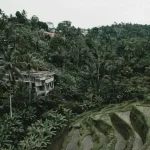 Experience Balinese Culture: Your September 2026 Guide to Galungan and Kuningan