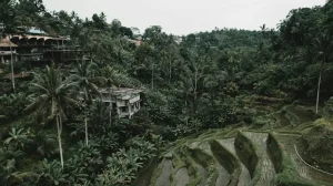 Experience Balinese Culture: Your September 2026 Guide to Galungan and Kuningan