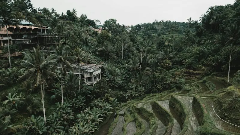 Experience Balinese Culture: Your September 2026 Guide to Galungan and Kuningan