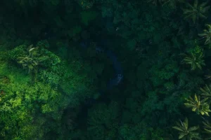 Exploring Bandung’s Natural Wonders: Volcanoes, Tea Plantations &amp; Waterfalls