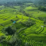 Exploring Semarang’s Kota Lama: A Historic Walking Tour