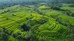 Exploring Semarang’s Kota Lama: A Historic Walking Tour