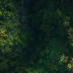 Indonesia in September 2026: Ideal Conditions for Island Exploration