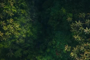 Indonesia in September 2026: Ideal Conditions for Island Exploration