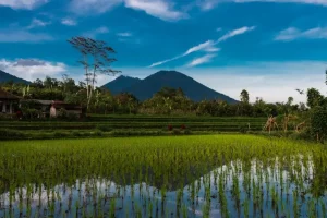 Is Belitung the Next Bali? Why You Should Visit Now
