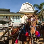 Lombok’s Hidden Gems: 10 Off-the-Beaten-Path Adventures