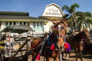 Lombok’s Hidden Gems: 10 Off-the-Beaten-Path Adventures