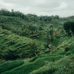 Navigating Indonesia’s Shoulder Season in September 2026