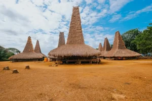 Renting in Bali Long-Term: Essential Advice for Remote Workers